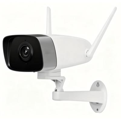 Monitoring System (CCTV)